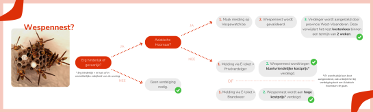 Schema verdeling wespen