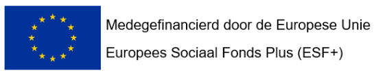 Logo medegefinancierd door de Europese Unie